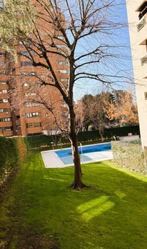 Piso en calle de Pedro Rico, 13 - Foto 14