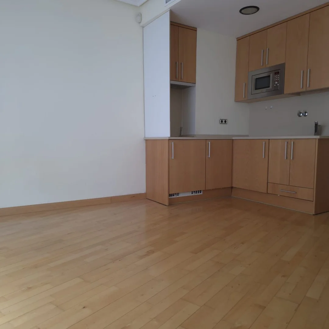 Estudio en calle de Torrelaguna, 110 - Foto 3