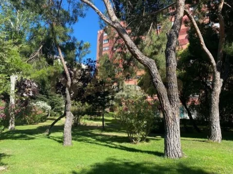 Estudio en calle de Torrelaguna, 106 - Foto 8