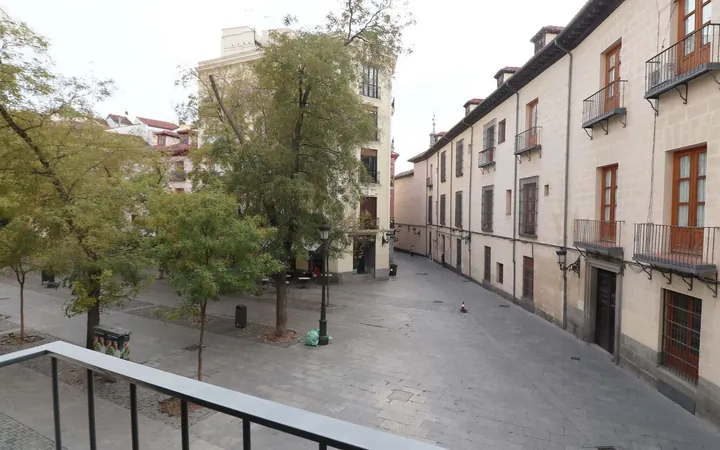 Piso en Calle de la Pasa, 4, Palacio - Foto 16