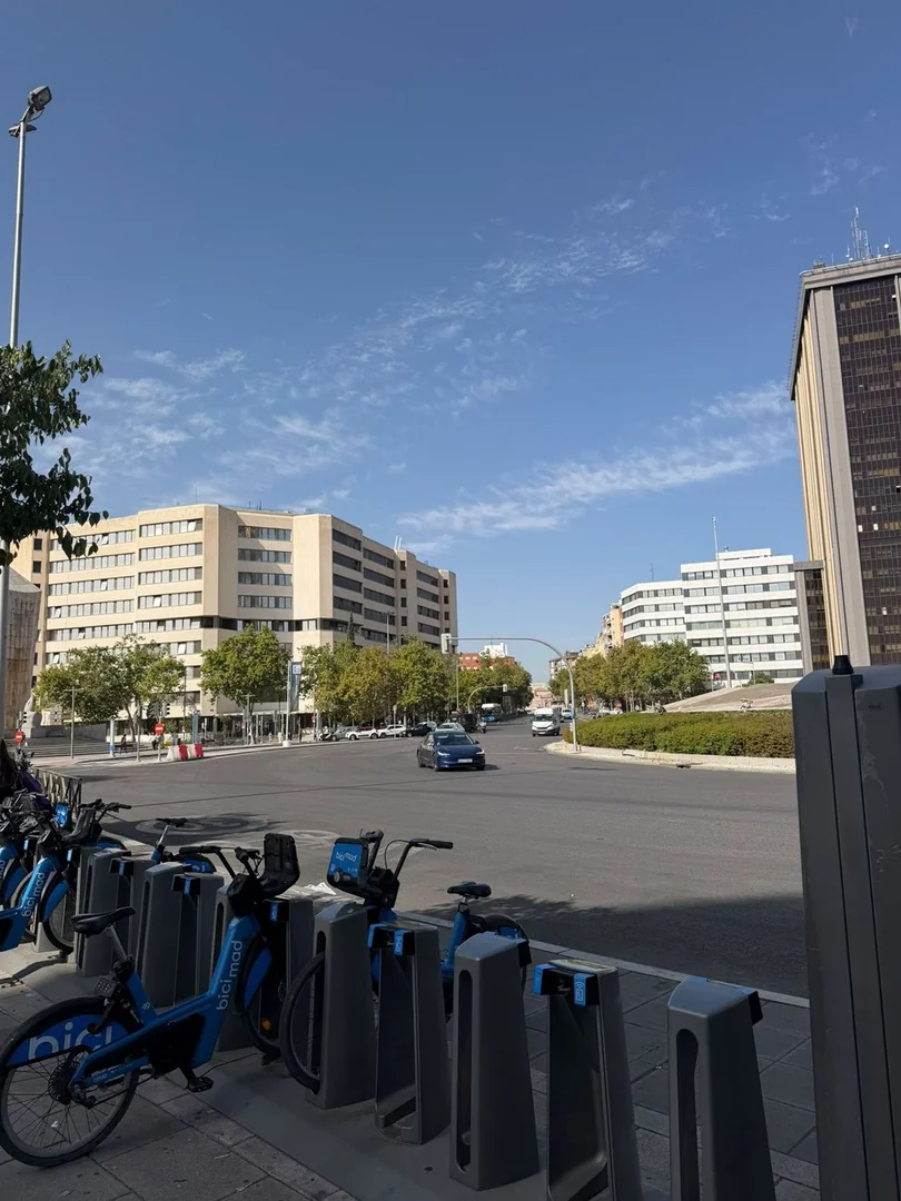 Piso en Paseo de la Castellana, Castilla - Foto 29