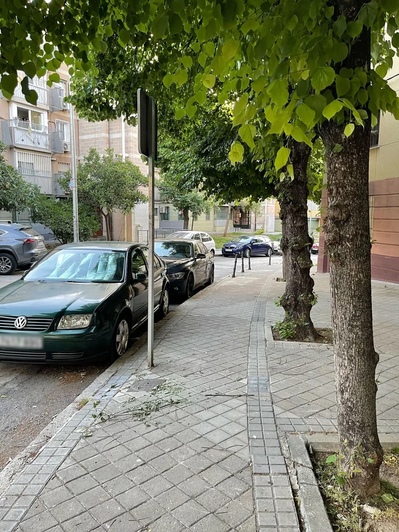 Piso en Calle de San Magín, 11, Zofío - Foto 20