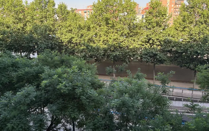 Piso en Paseo de la Virgen del Puerto, 39, Imperial - Foto 1