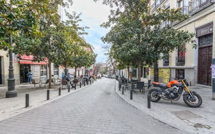 Piso en Calle del Ave María, 27, Lavapiés-Embajadores - Foto 25