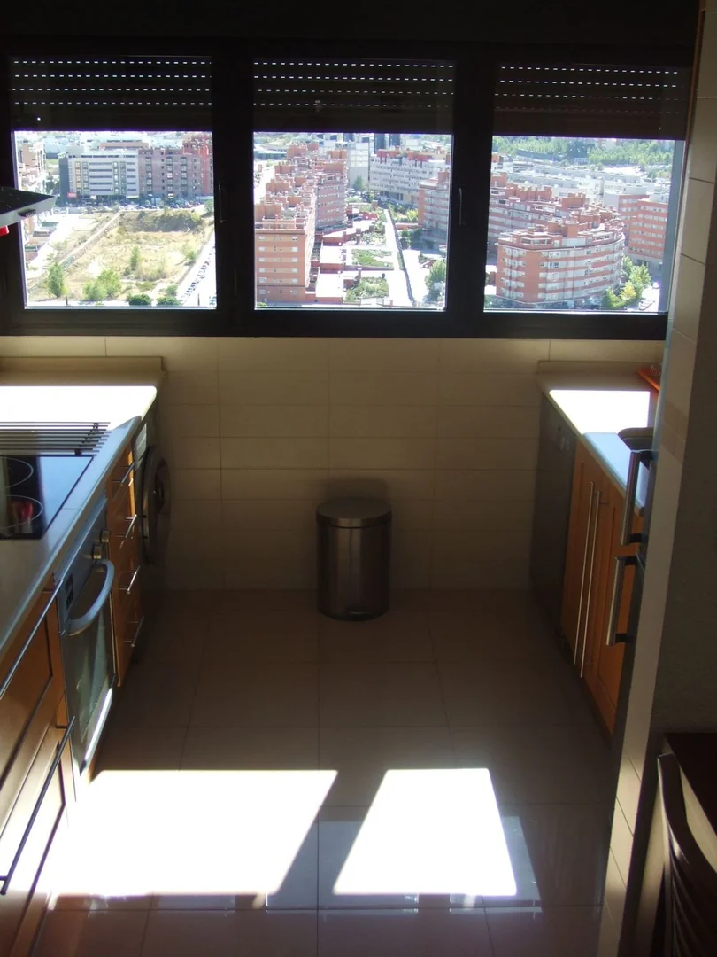 Piso en Calle de la Princesa de Éboli, 15, Sanchinarro - Foto 16