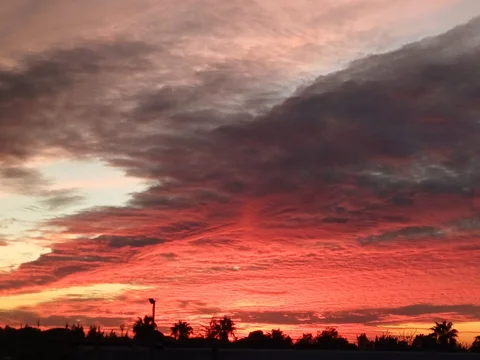 Casa independiente en camino de Coripe, 1 - Foto 3