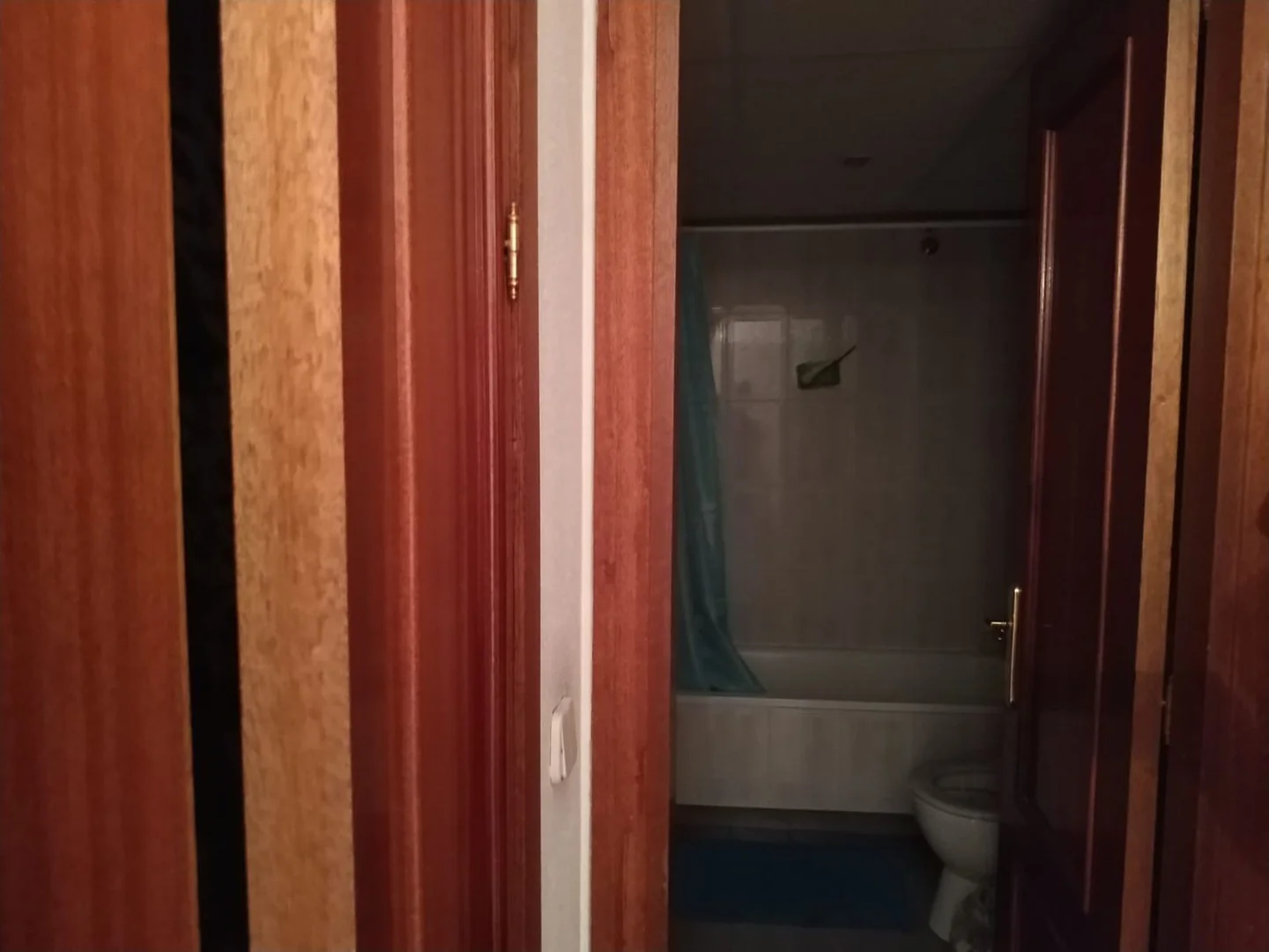 Estudio en Calle de Gonzalo de Córdoba, 17, Trafalgar - Foto 7