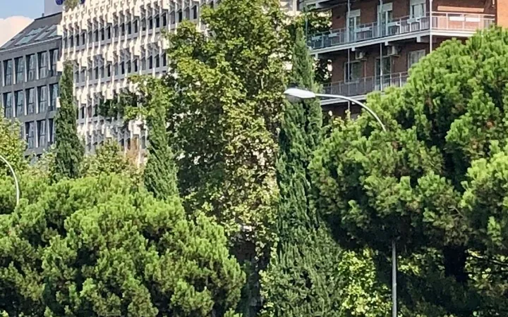 Piso en Paseo de la Castellana, 266, Castilla - Foto 1