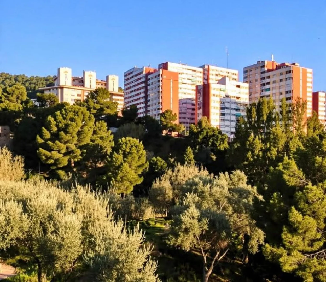 Ático en Calle de Perafita, 71, Ciutat Meridiana - Torre Baró - Vallbona - Foto 13