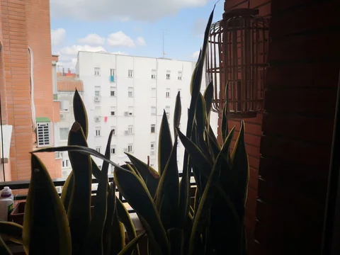 Piso en calle de Blasco de Garay, 60 - Foto 29