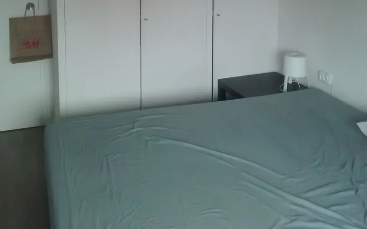 Piso en Calle de Antonio Machado, 42, Valdezarza - Foto 12