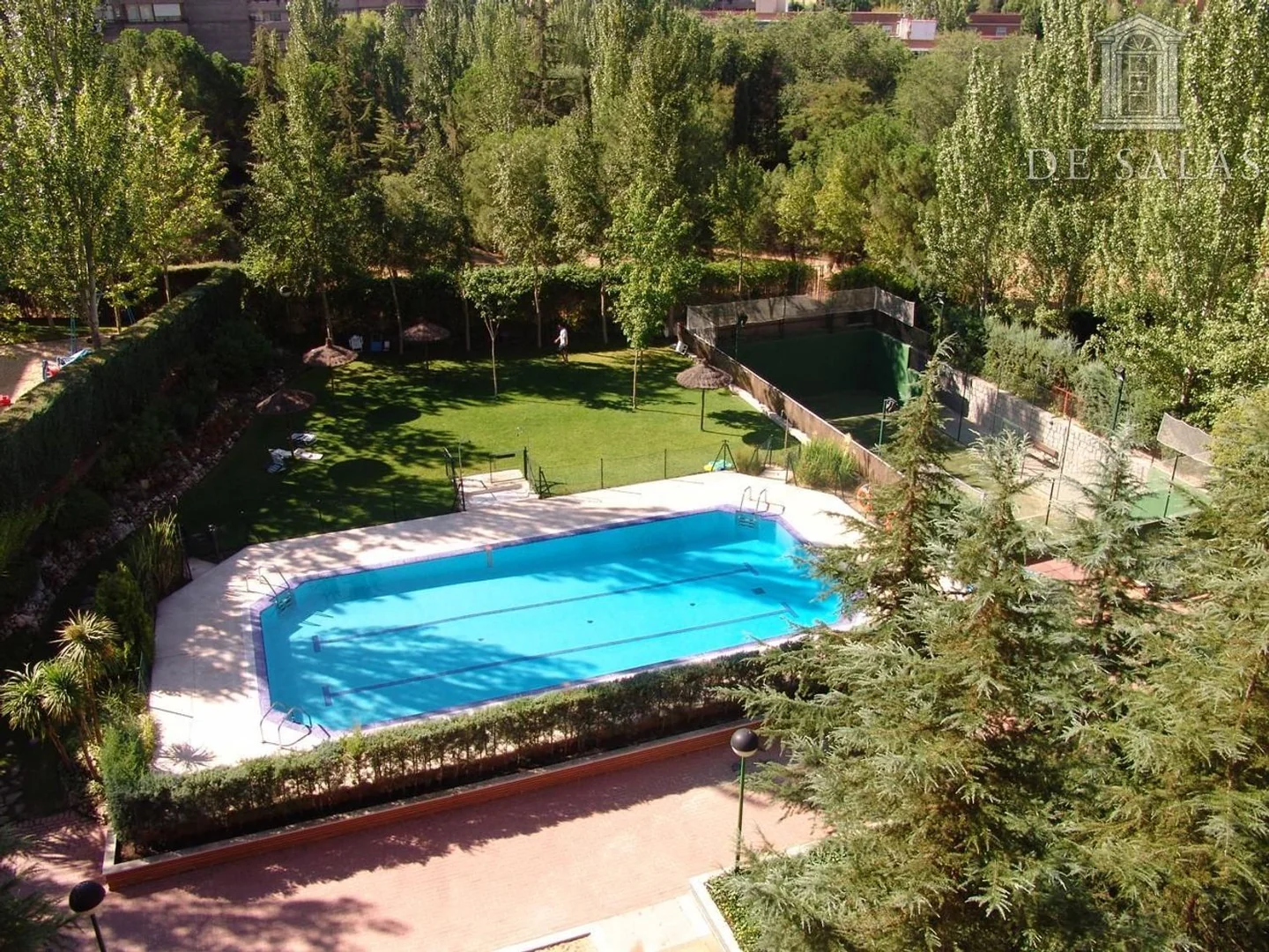 Piso en Mirasierra - Foto 4