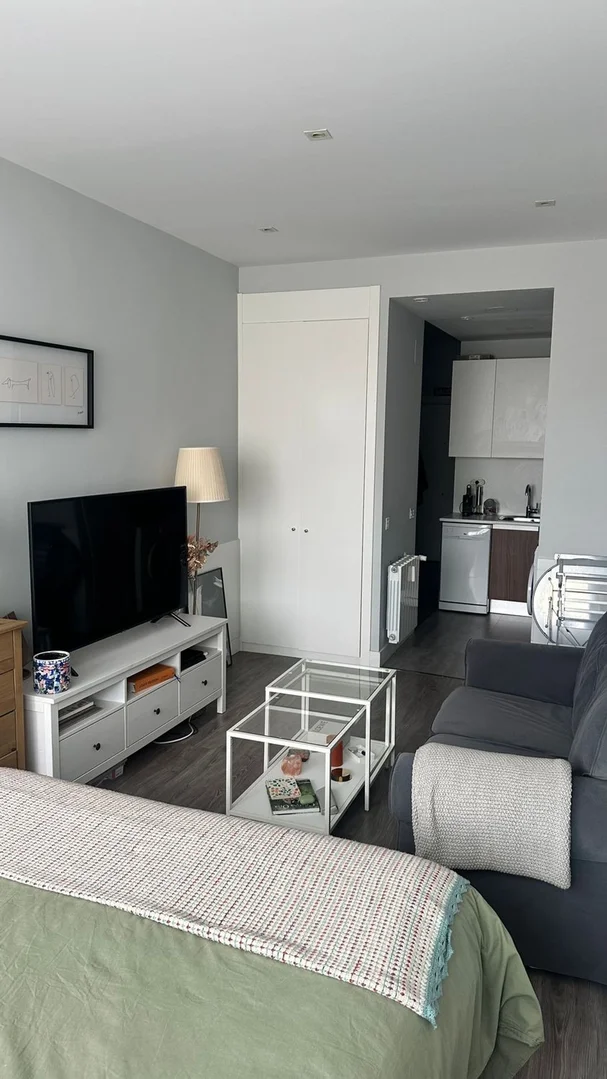 Estudio en calle del Marqués de Lema, 7 - Foto 5