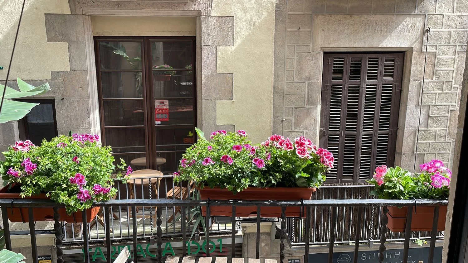 Estudio en Sant Pere - Santa Caterina i la Ribera - Foto 12