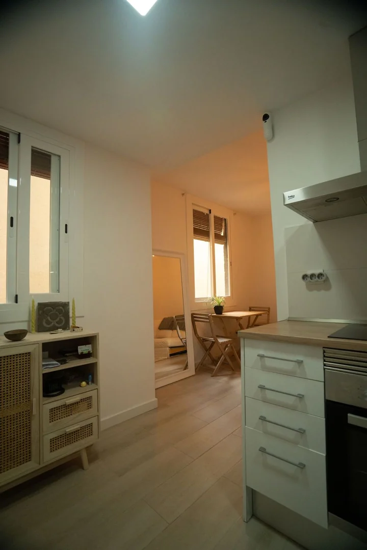 Piso en Calle de Picalquers, 3 Bis, El Raval - Foto 10