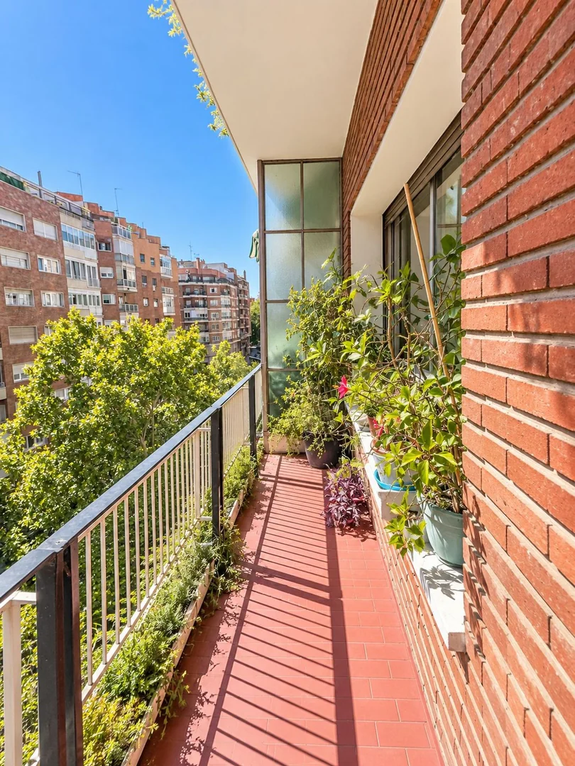 Piso en Calle de la Reina Mercedes, 17, Cuatro Caminos - Foto 7