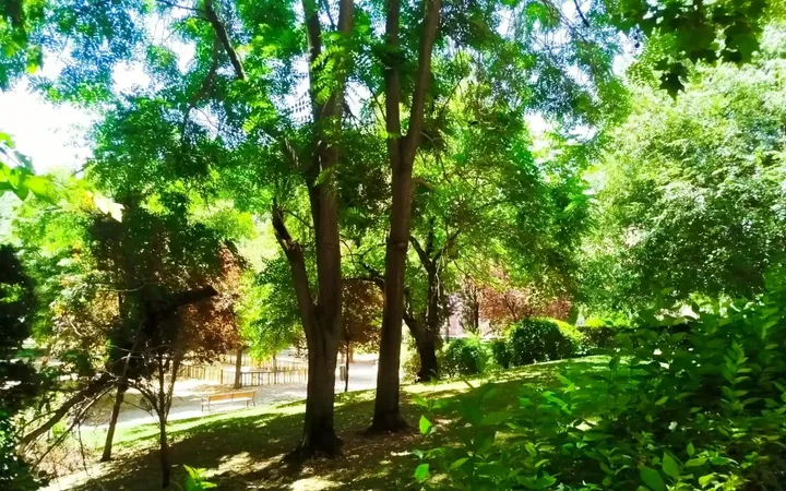 Apartamento en  Calle de Arganda 34 - Foto 22