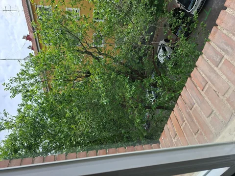 Piso en Calle de la Infanta Mercedes, 30 - Foto 23