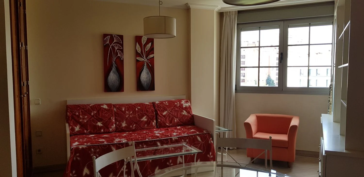 Estudio en paseo de Juan XXIII, 23 - Foto 1