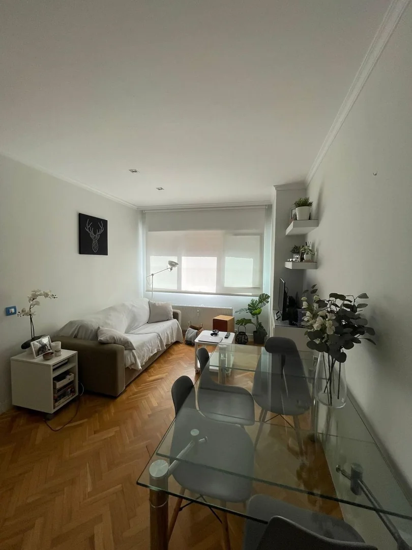 Piso en Calle Potosí, 2, Bernabéu-Hispanoamérica - Foto 3