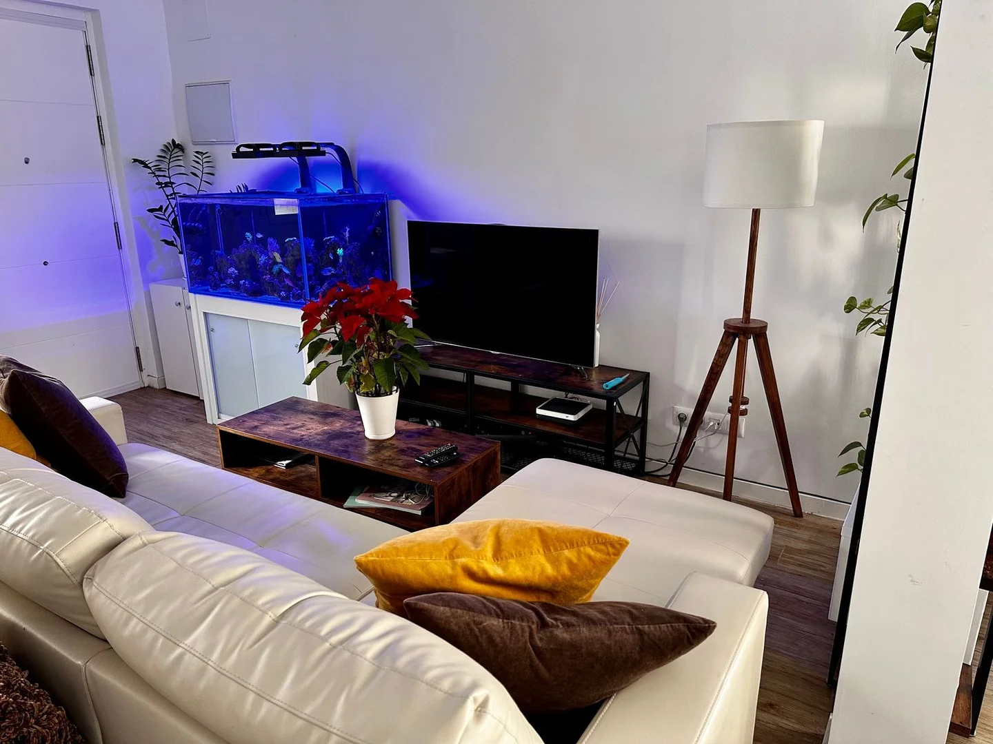 Piso en calle de Alejandro Saint Aubin, 5 - Foto 2