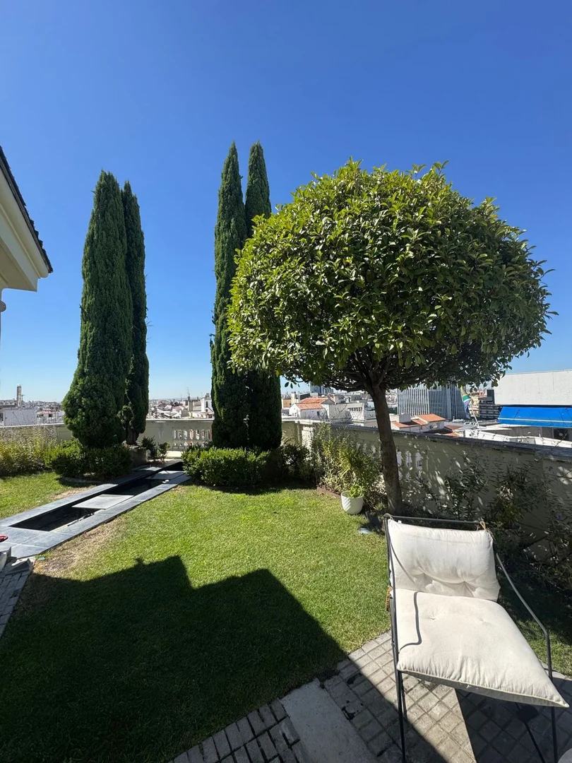 Piso en calle de José Ortega y Gasset, 17 - Foto 15