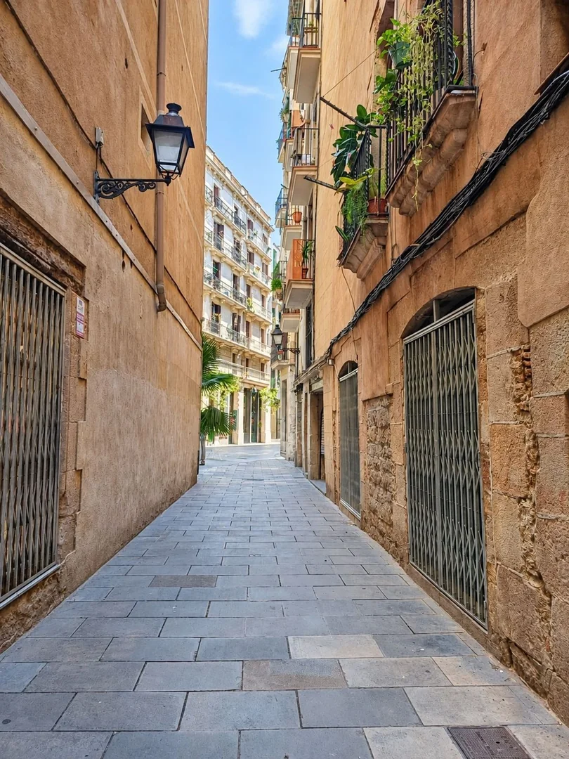 Piso en Calle de l'Hostal de Sant Antoni, 8, Sant Pere - Santa Caterina i la Ribera - Foto 16