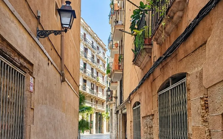 Piso en Calle de l'Hostal de Sant Antoni, 8, Sant Pere - Santa Caterina i la Ribera - Foto 16