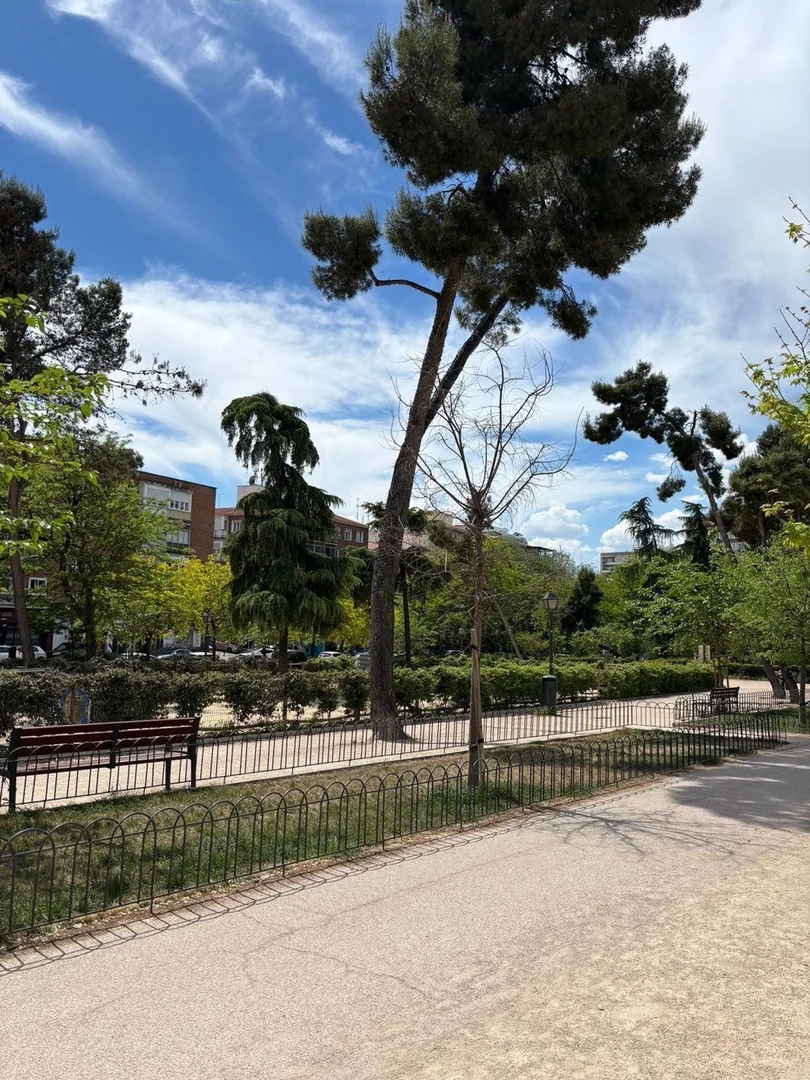 Piso en Concepción - Foto 31
