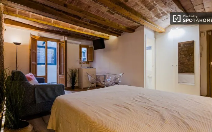 Estudio en Calle de la Riera Alta, El Raval - Foto 10