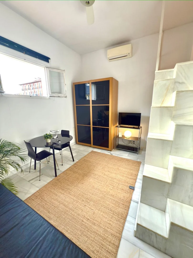 Dúplex en Calle de la Ribera de Curtidores, 29, Lavapiés-Embajadores - Foto 6