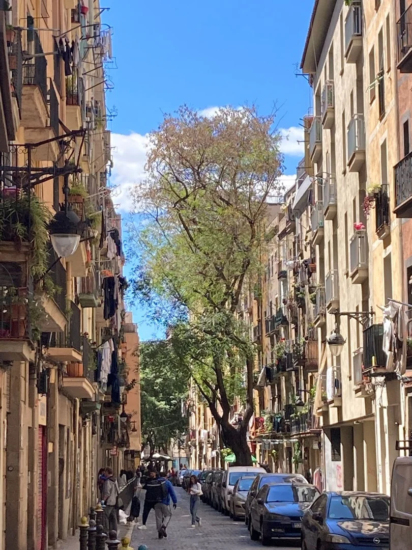 Piso en Sant Pere - Santa Caterina i la Ribera, Sant Pere - Santa Caterina i la Ribera - Foto 18
