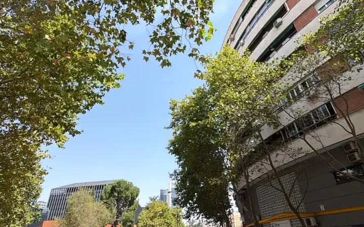 Estudio en  Calle del Conde de Serrallo 1 - Foto 1