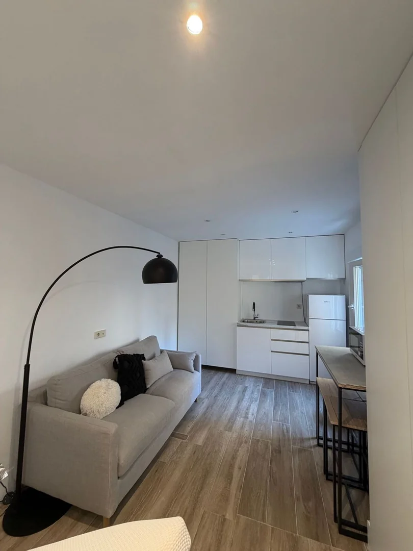 Estudio en Calle de Juan Álvarez Mendizábal, 15, Argüelles - Foto 9