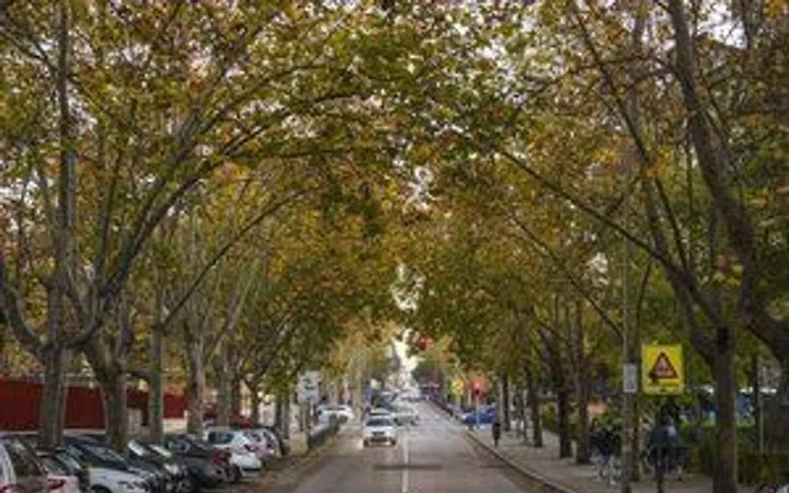 Piso en Concepción - Foto 1