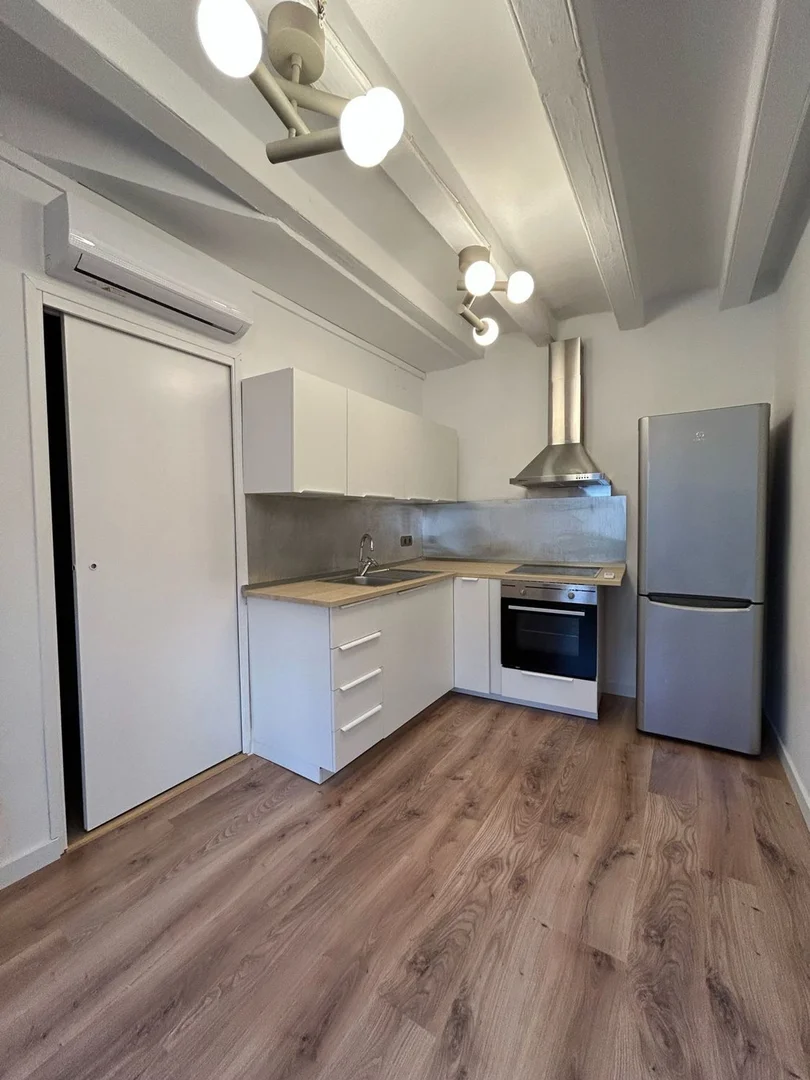 Estudio en calle d'En Mònec, 3 - Foto 1