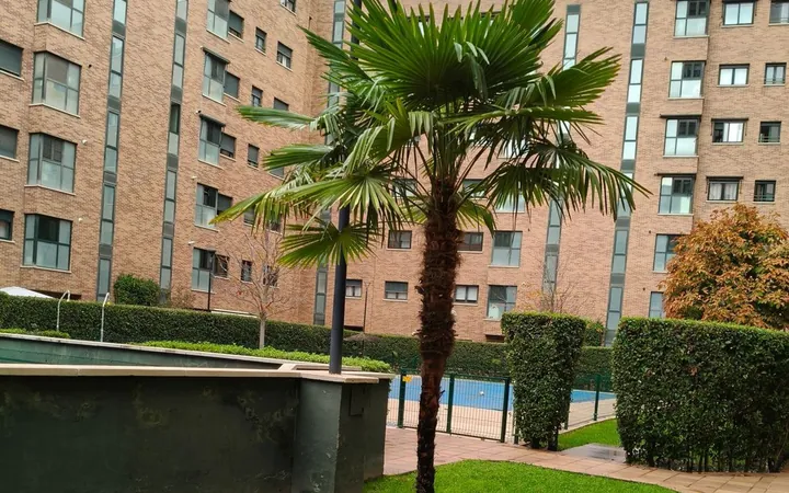 Piso en Avenida de Niceto Alcalá Zamora, 40, Sanchinarro - Foto 1