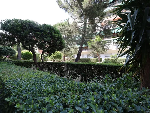 Estudio en Calle Guabairo, Vista Alegre - Foto 15