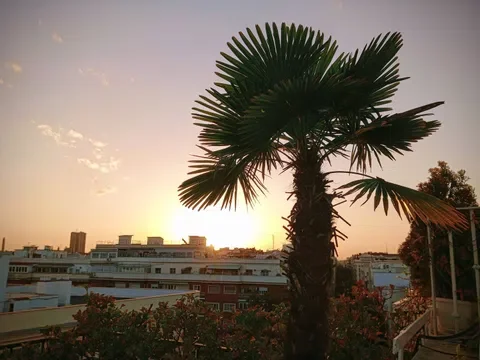 Ático en paseo Marqués de Zafra, 5 - Foto 12