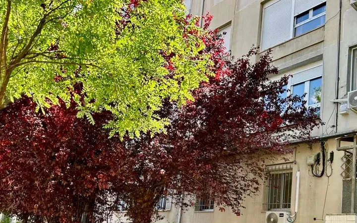 Piso en Calle Mirasierra, 6, Moscardó - Foto 19
