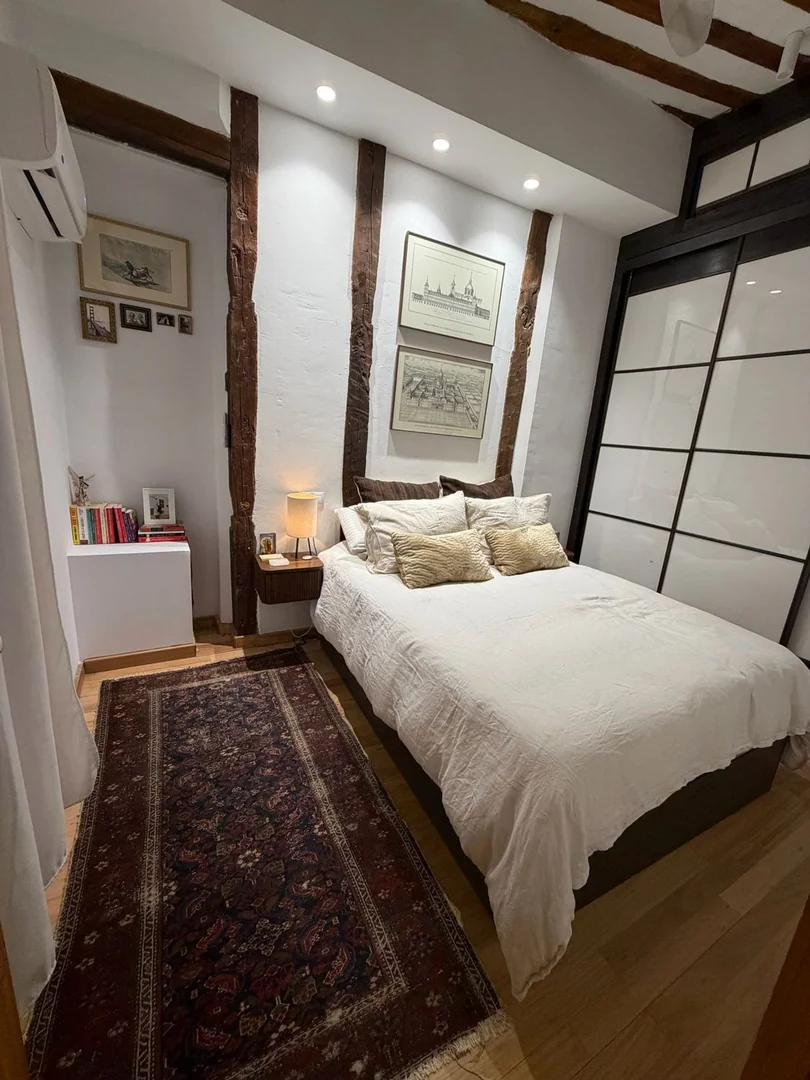 Piso en Plaza de Cascorro, 8, Lavapiés-Embajadores - Foto 2