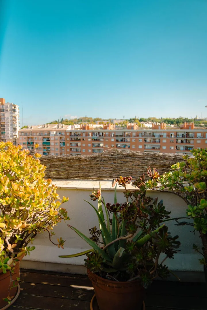 Estudio en paseo de la Zona Franca, 222 - Foto 15