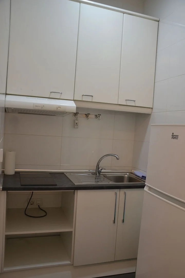 Estudio en Calle de la Princesa, 12, Argüelles - Foto 11