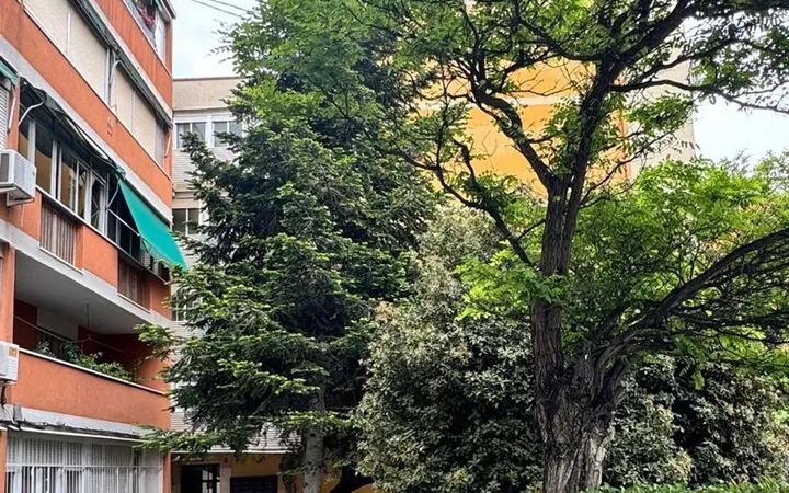 Piso en Colonia Occidente, 4 - Foto 29