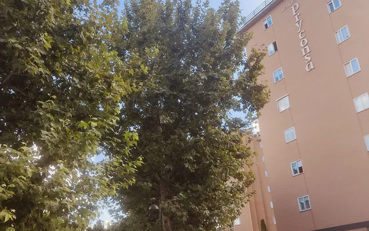 Piso en Calle Lenguas, 22, Villaverde Alto - Foto 1