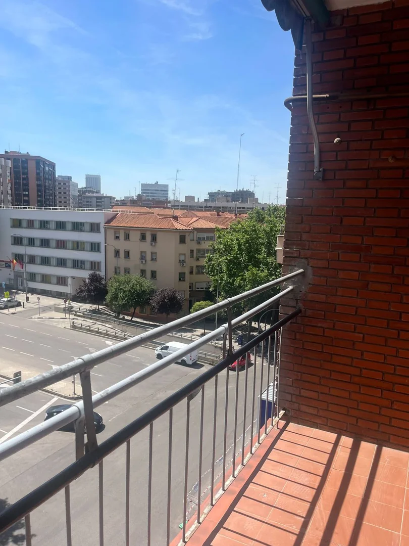 Piso en Calle de la Infanta Mercedes, Madrid, 95 - Foto 8