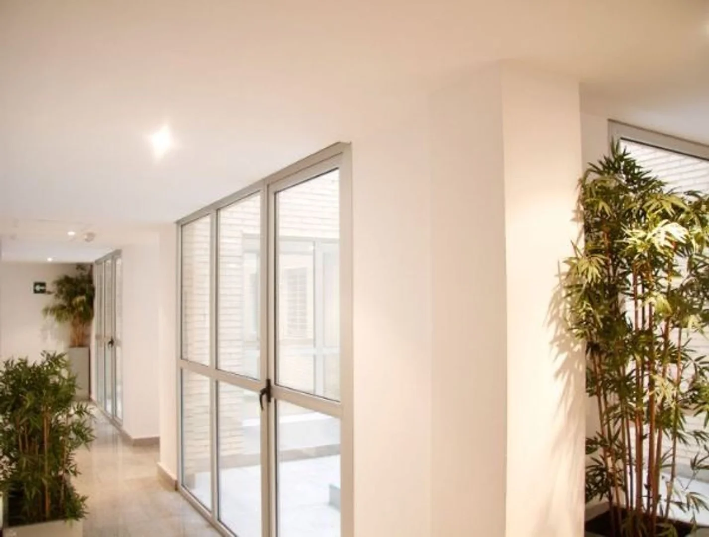 Alquiler de estudio en Calle de Felipe Campos, 10 - Foto 22