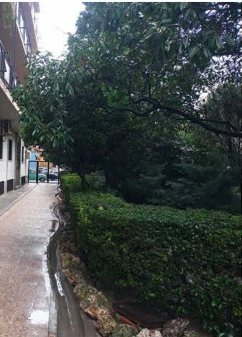 Piso en paseo de la Castellana, 225 - Foto 3