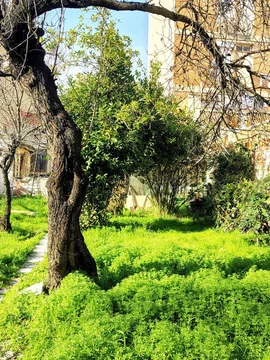 Casa independiente en Barrio Buena Vista - Foto 8