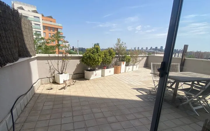 Ático en Calle San Juan de Ortega, 20, Las Tablas - Foto 28